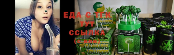 амф Алзамай