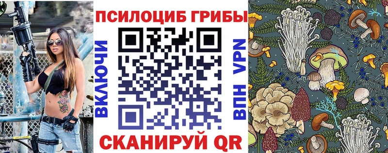 Псилоцибиновые грибы Psilocybe  сколько стоит  Батайск 